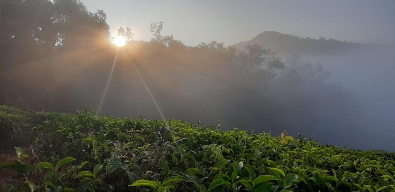 Cassells Jungle Resorts Thekkady Vandiperiyār Dış mekan fotoğraf