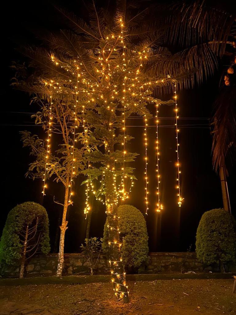 Cassells Jungle Resorts Thekkady Vandiperiyār Dış mekan fotoğraf