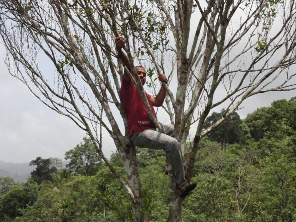 Cassells Jungle Resorts Thekkady Vandiperiyār Dış mekan fotoğraf