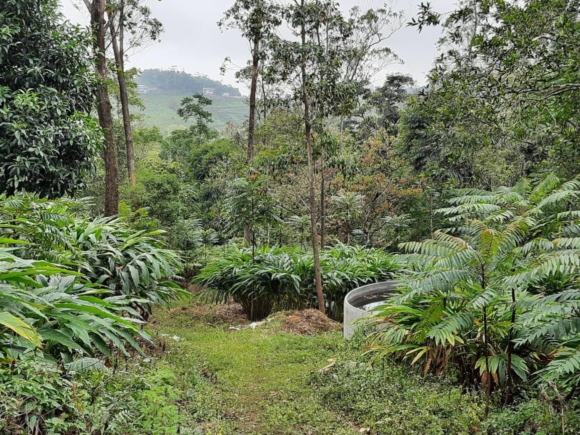 Cassells Jungle Resorts Thekkady Vandiperiyār Dış mekan fotoğraf