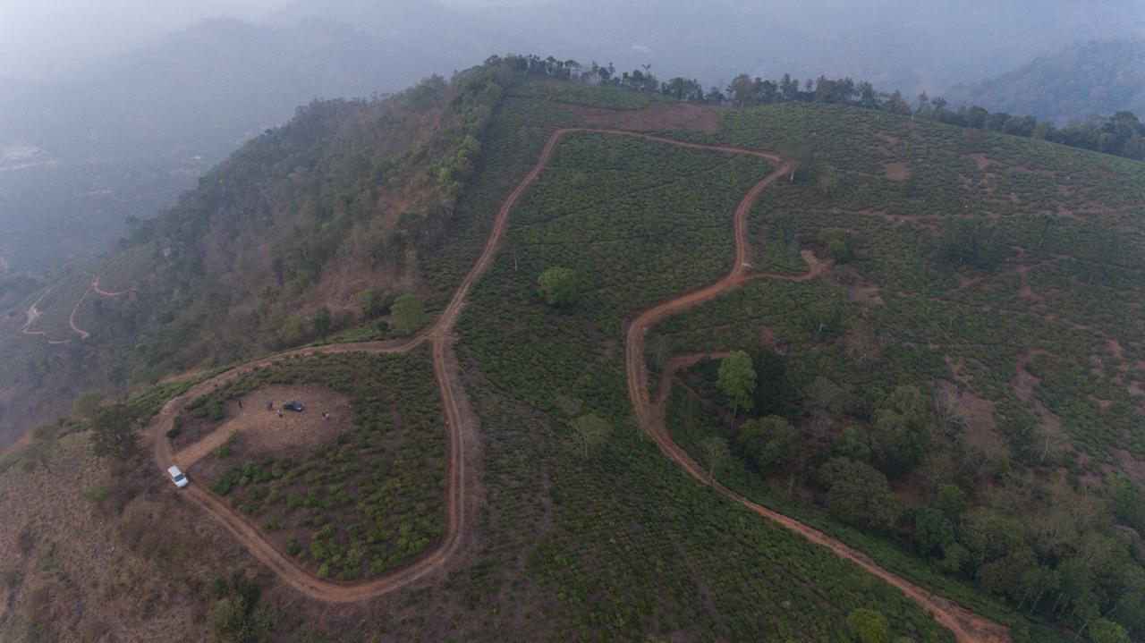 Cassells Jungle Resorts Thekkady Vandiperiyār Dış mekan fotoğraf